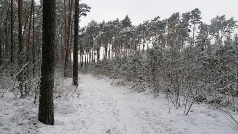 Od soboty śnieżyce i siarczyste mrozy. Prawdziwy atak zimy w Polsce