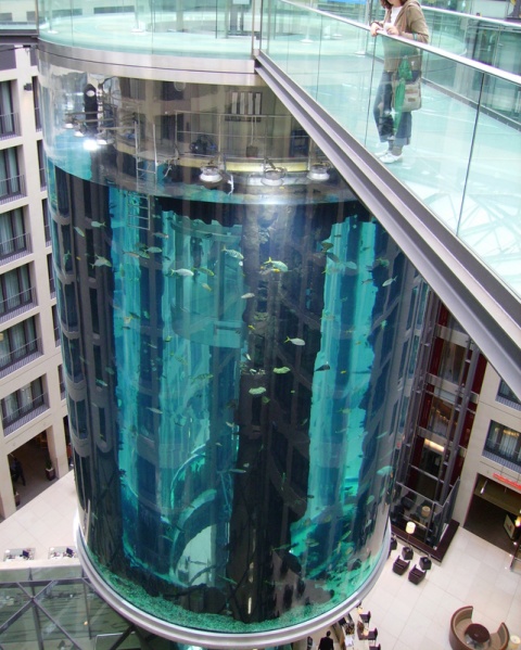 Pękło największe na świecie akwarium z morską wodą w Berlinie. Są ranni
