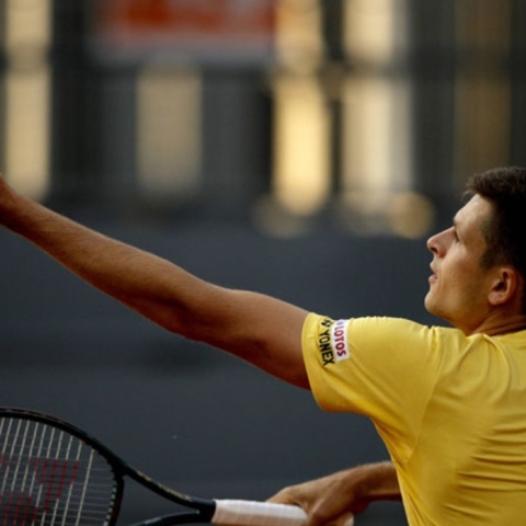 Hubert Hurkacz w finale turnieju ATP w Halle