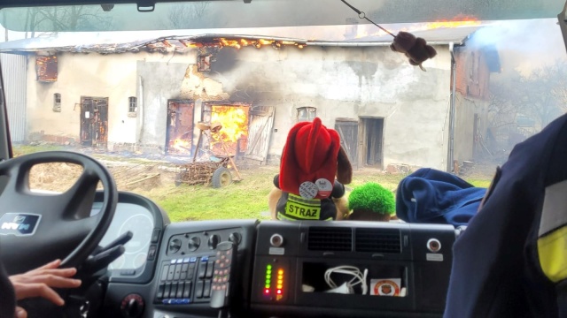 Spłonął budynek gospodarczy i maszyny rolnicze. Pożar w miejscowości Wilcze [zdjęcia]