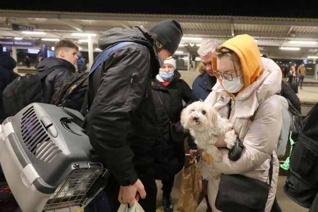 Uchodźcy wiozą ze sobą zwierzęta. Zbiórka we włocławskim schronisku