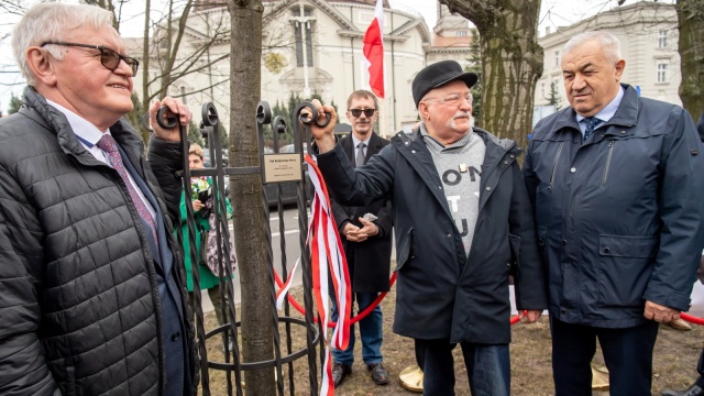 Dęby Lecha Wałęsy i Bydgoskiego Marca81. Uroczystość z udziałem byłego prezydenta RP [wideo, galeria]