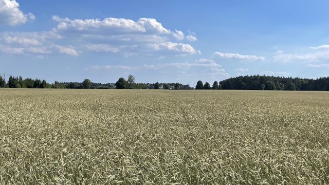 Minister rolnictwa o ochronie produkcyjnej funkcji wsi. Udało się wygrać jedną z bitew