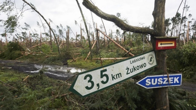 Byli zabici i ranni. Runęły całe połacie lasu. Pięć lat temu nad Polską szalał huragan