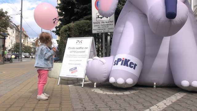 Słonik sPiKer rozsiadł się dziś przed siedzibą Polskiego Radia PiK [wideo, zdjęcia]