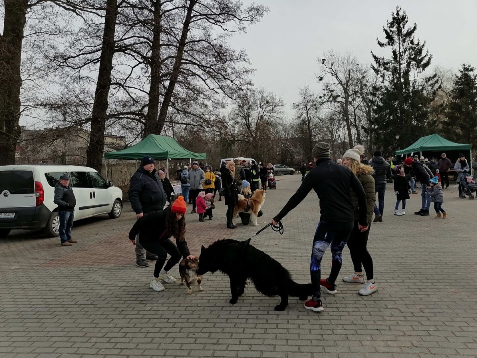 Bieg zaginionym tropem w Mogilnie/fot. Monika Siwak