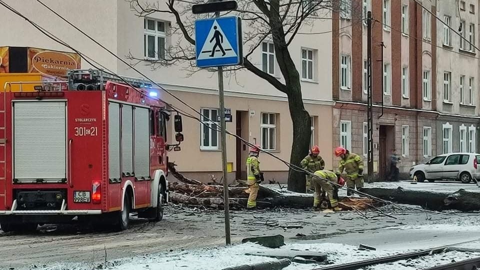 Na skrzyżowaniu ul. Nakielskiej i Chłodnej w Bydgoszczy drzewo przewróciło się na tory tramwajowe oraz ulicę. Zerwana została sieć trakcyjna, drzewo uszkodziło również zaparkowane nieopodal samochody/fot. Bydgoszcz 998