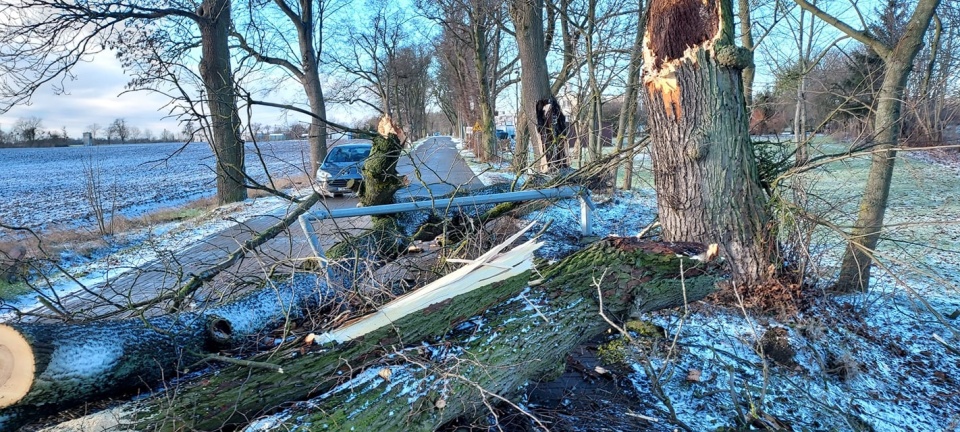 Interwencje strażaków po wichurze w regionie/fot. Bydgoszcz 998