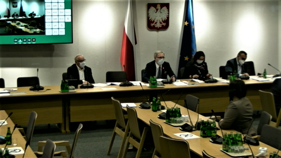 Posiedzenie sejmowej Komisji Zdrowia./fot. print screen/sejm.gov.pl