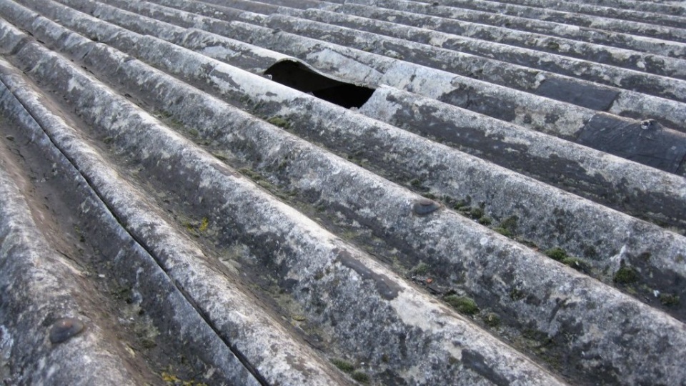 Dwa tysiące ton azbestu zalega na dachach i elewacjach domów we Włocławku/fot. Pixabay