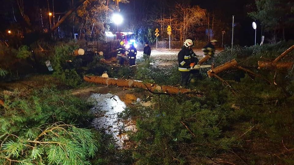 Zgłoszenia zaczęły napływać około godziny 4.00 nad ranem, kiedy przez część regionu przeszła burza połączona z silnym wiatrem/fot. PSP Toruń, Facebook