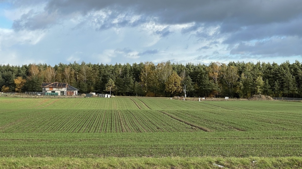 Leśnicy zachęcają mieszkańców regionu do sprzedawania im nieużywanych działek. Fot. Tomasz Kaźmierski