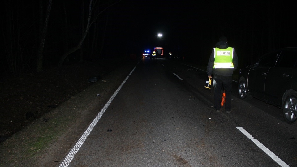 Na drodze w m. Puszcza Miejska pod Rypinem doszło do wypadku. Nie żyje kierowca bmw./fot. Policja