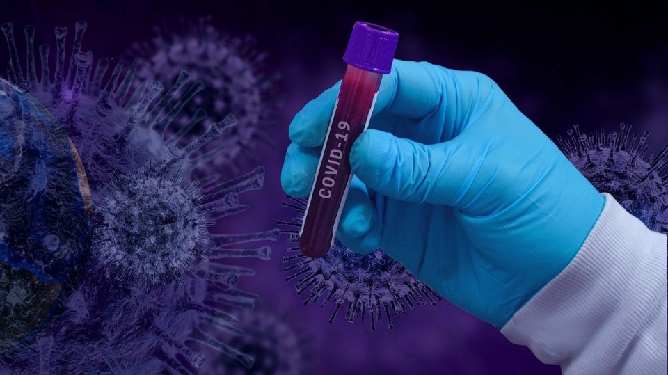 Dotychczas najwięcej nowych przypadków zakażenia SARS-COV-2 w całej pandemii wykryto 27 stycznia br./fot. Pixabay