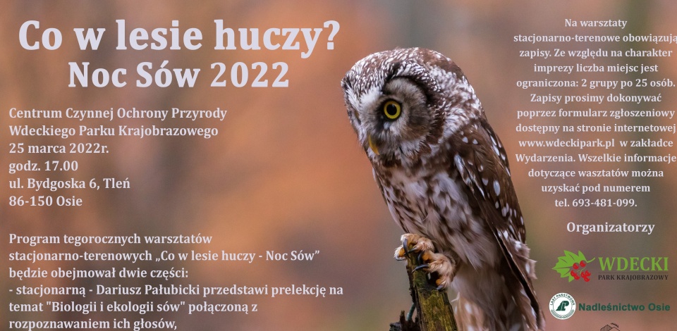 Plakat „Nocy sów" Wdeckiego Parku Krajobrazowego/fot. WIOS Bydgoszcz