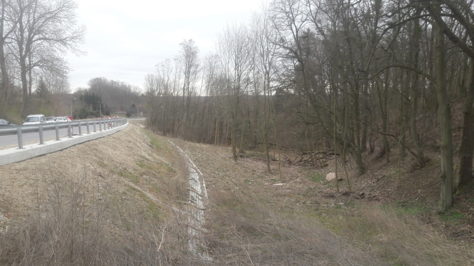 Koronowo otrzyma kolejną transzę pieniędzy na umocnienie ponad 350-metrowego osuwiska, które zagrażało miastu/fot. Robert Erdmann