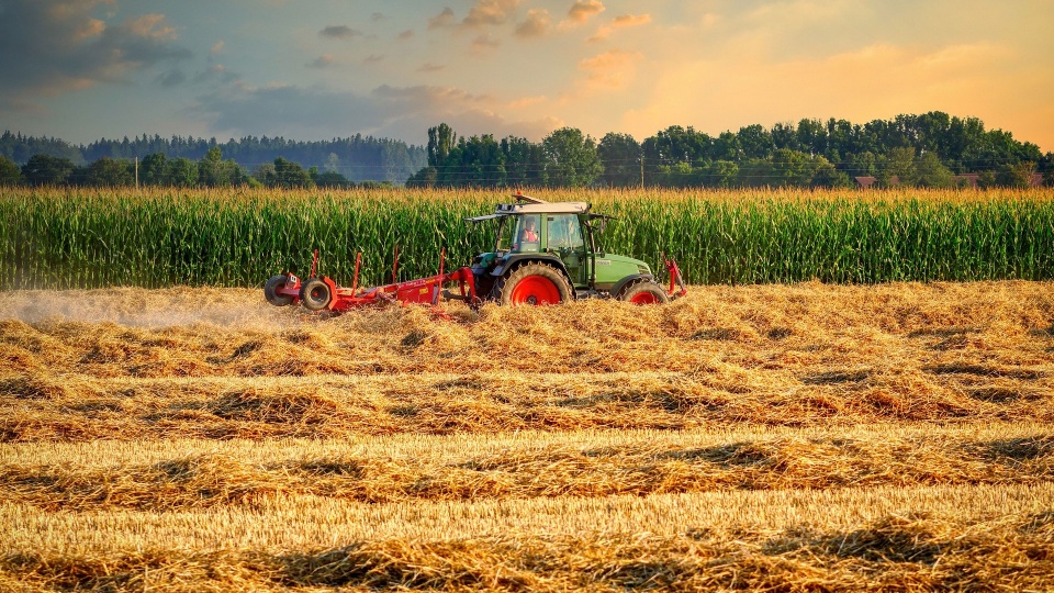 Hiszpania sprowadzała dotychczas z Ukrainy 11 proc. wszystkich swoich zakupów zagranicznych zbóż. Zdjęcie ilustracyjne./fot. Pixabay