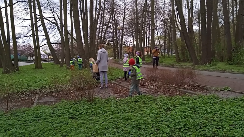 Zbierali dorośli, zbierały dzieci. Czysta Puszcza Bydgoska (jw)