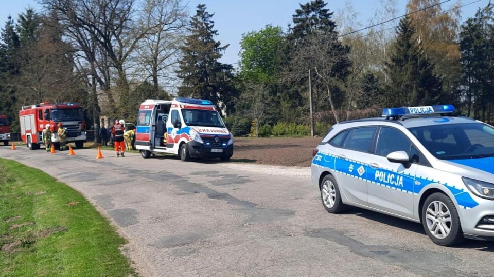 Kierowca - omijając dziki - uderzył w drzewo/fot. materiały policji