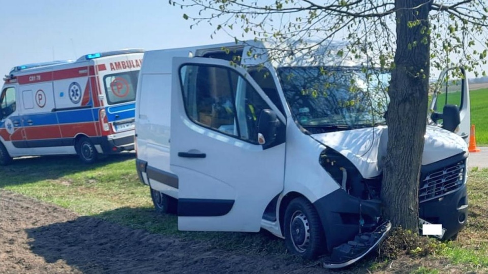 Kierowca - omijając dziki - uderzył w drzewo/fot. materiały policji