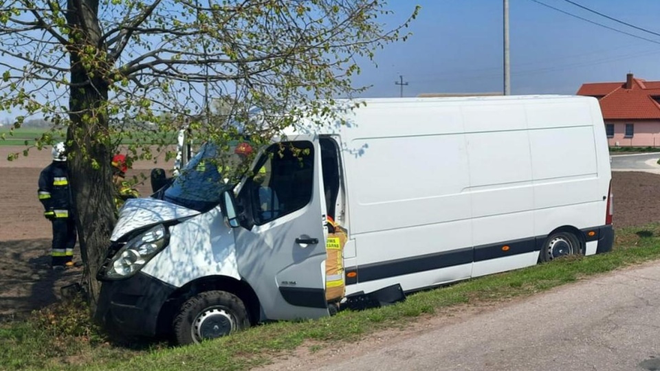 Kierowca - omijając dziki - uderzył w drzewo/fot. materiały policji