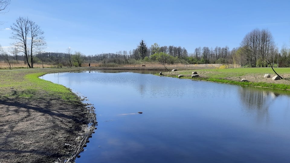 Wcześniej były tam zarośla i bagna, dziś jest to miejsce do rekreacji. Park miejski w Rypinie przeszedł rewitalizację. Fot. Monika Kaczyńska