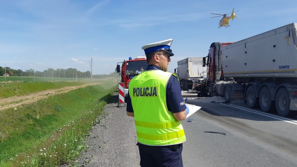 Tragiczny wypadek w Niewieścinie/fot. materiały policji