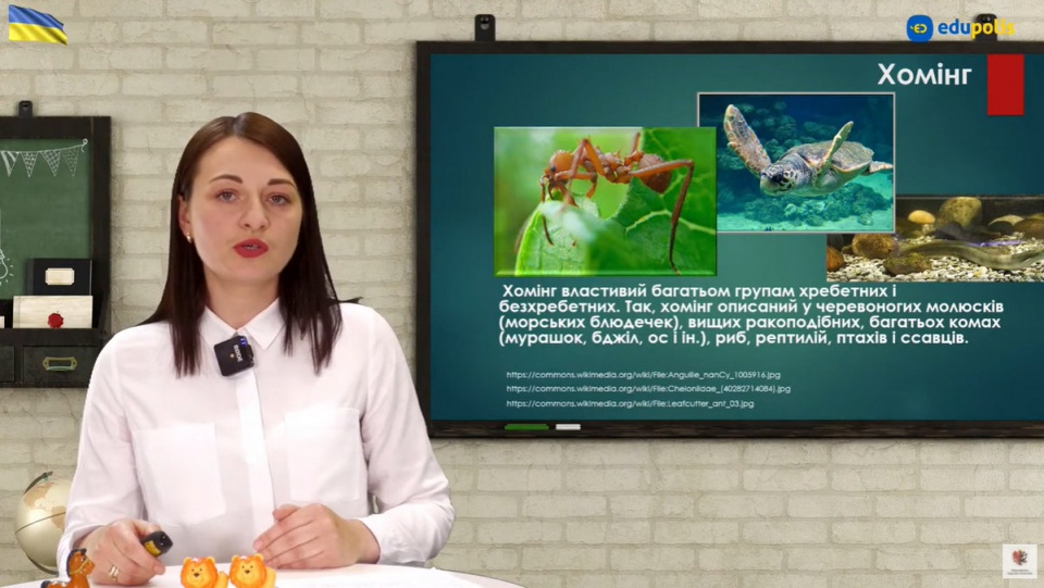 Урок біології в Куявсько-Поморській e-Szkoła / fot. YouTube