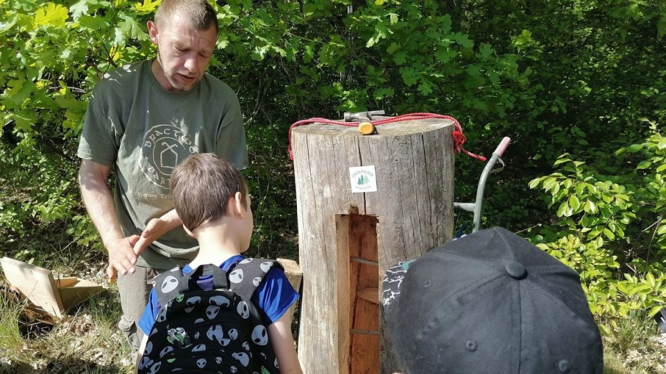 Dom dla pszczół w postaci wydrążonej kłody drewna pojawił się na dębie obok Centrum Edukacji Ekologicznej w bydgoskim Myślęcinku/fot. Monika Siwak