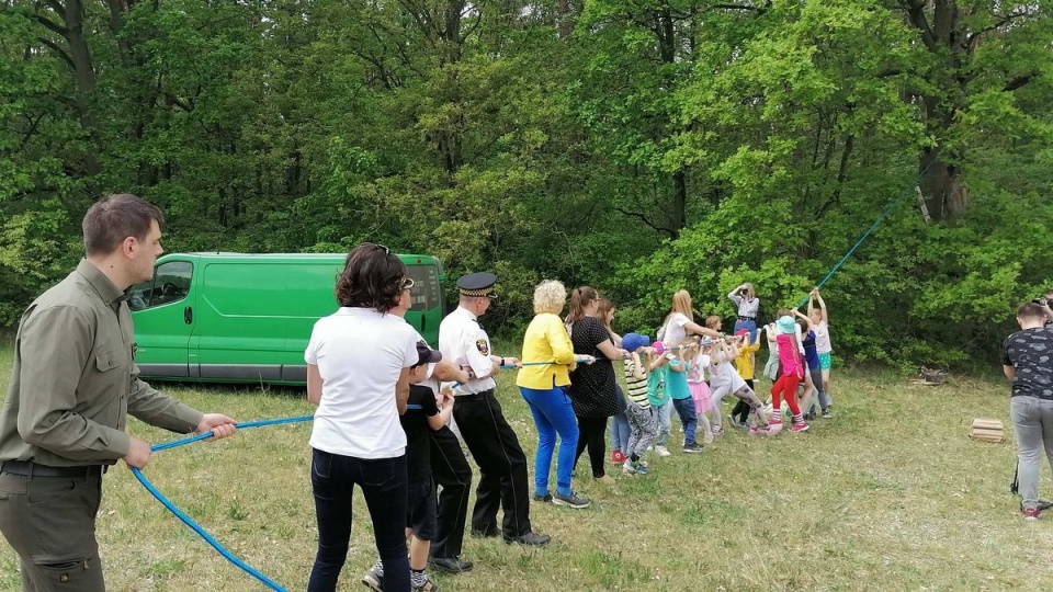 Dom dla pszczół w postaci wydrążonej kłody drewna pojawił się na dębie obok Centrum Edukacji Ekologicznej w bydgoskim Myślęcinku/fot. Monika Siwak