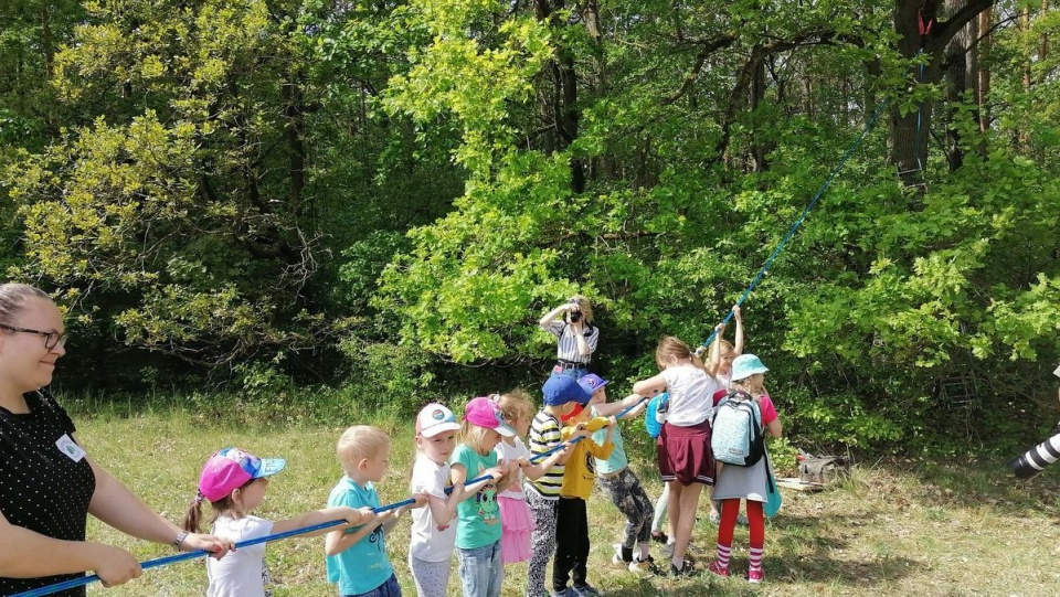 Dom dla pszczół w postaci wydrążonej kłody drewna pojawił się na dębie obok Centrum Edukacji Ekologicznej w bydgoskim Myślęcinku/fot. Monika Siwak