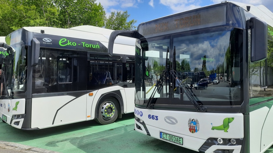 Sześć nowych autobusów elektrycznych wyjedzie na ulice Torunia/fot. Monika Kaczyńska