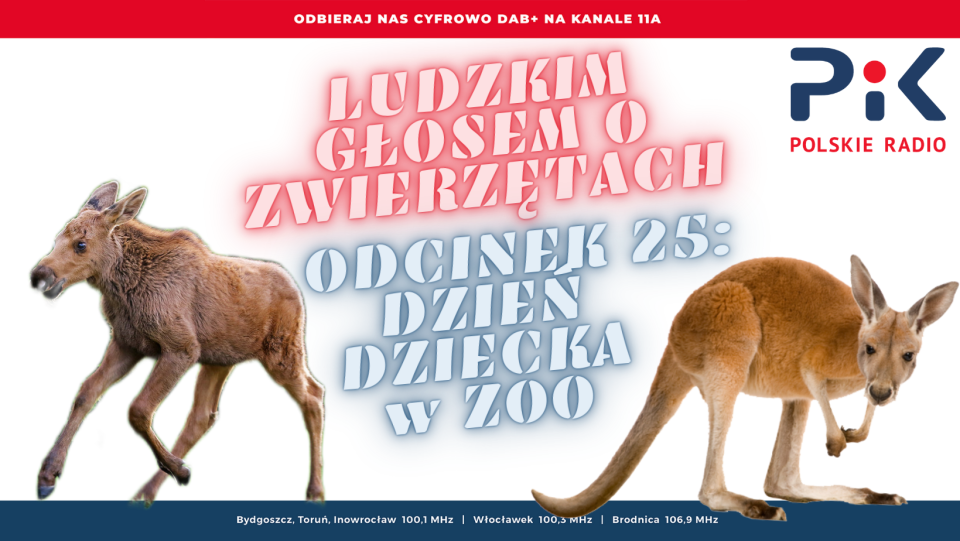 Dzień Dziecka w ZOO