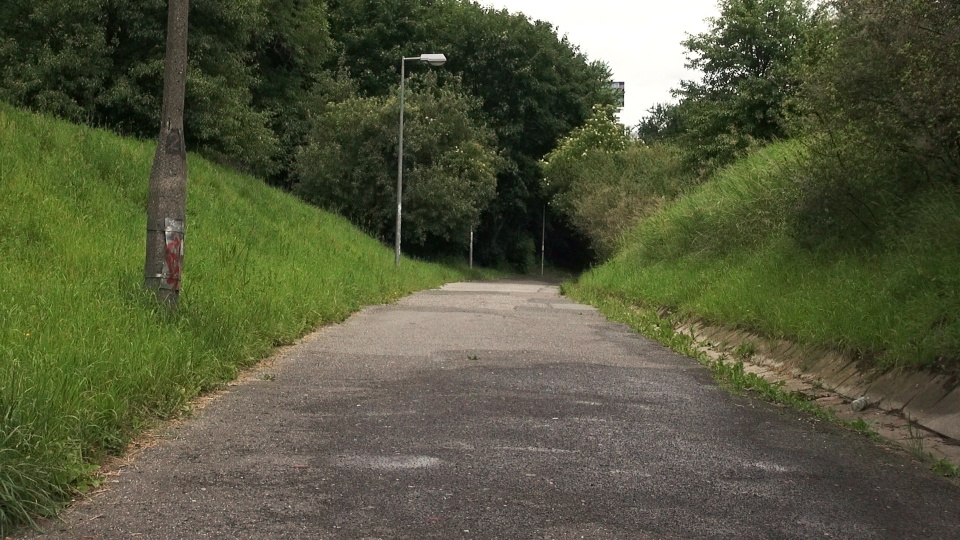 Wkrótce rozpocznie się budowa nowego oświetlenia i remont nawierzchni trasy spacerowo-rowerowej w Jarze Czynu Społecznego na Wyżynach. (jw)