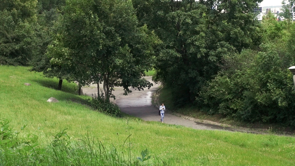 Wkrótce rozpocznie się budowa nowego oświetlenia i remont nawierzchni trasy spacerowo-rowerowej w Jarze Czynu Społecznego na Wyżynach. (jw)