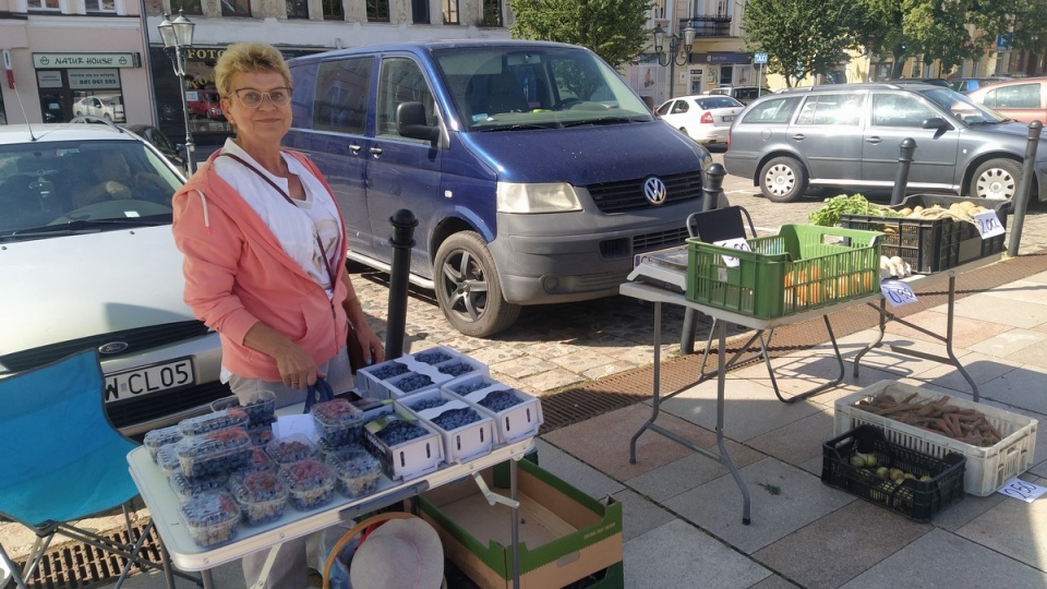 Tylko dwie panie handlujące owocami i warzywami pojawiły się na reaktywowanym targowisku na rynku w Świeciu/fot. Marcin Doliński