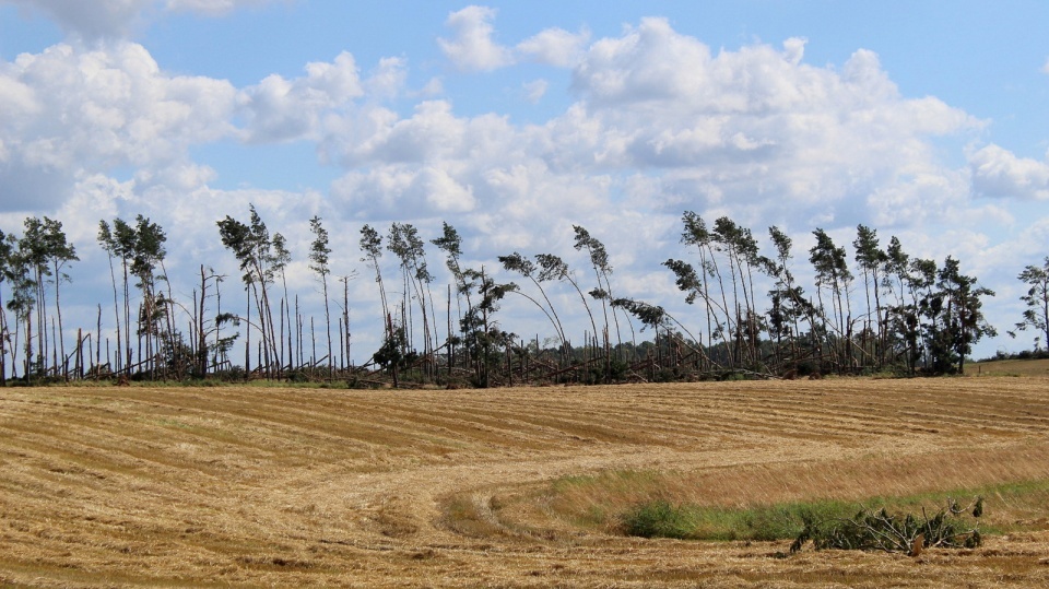 W czwartek (11 sierpnia) minie 5 lat od huraganu stulecia, który nawiedził zachodnią i północną część Polski - w tym region kujawsko-pomorski. Szkody materialne, jakie wyrządził żywioł liczone były w miliardach zł./fot. archiwum