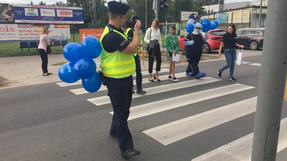 Żywa alpaka i policyjna maskotka Polfinek przeprowadzali w środę przez jezdnię dzieci idące do szkoły w podbydgoskim Osielsku. Fot. Elżbieta Rupniewska