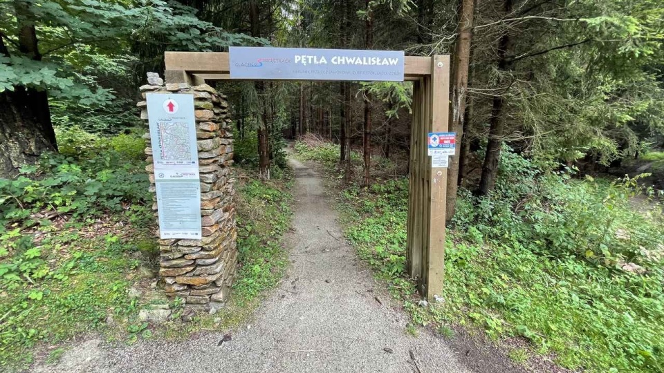 Kotlina Kłodzka i sieć ścieżek rowerowych Glacensis Singletrack. Fot. Tomasz Kaźmierski