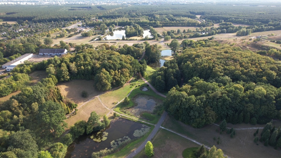 Leśny Park Kultury i Wypoczynku w bydgoskim Myślęcinku/fot. DronFor Krzysztof Forgiel, jw