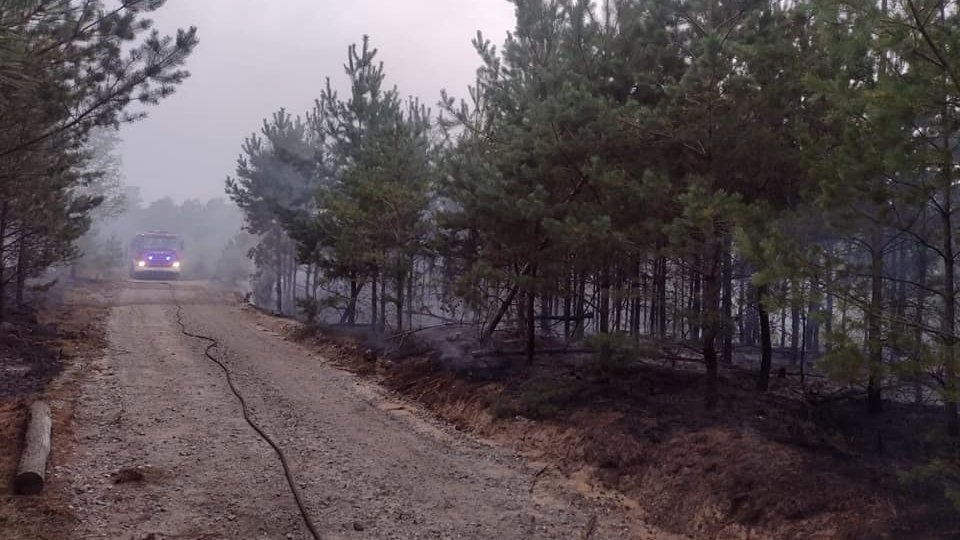 Do podpaleń lasów dochodziło w czwartkowy wieczór na terenie nadleśnictwa Cierpiszewo/fot. PSP Toruń, Facebook