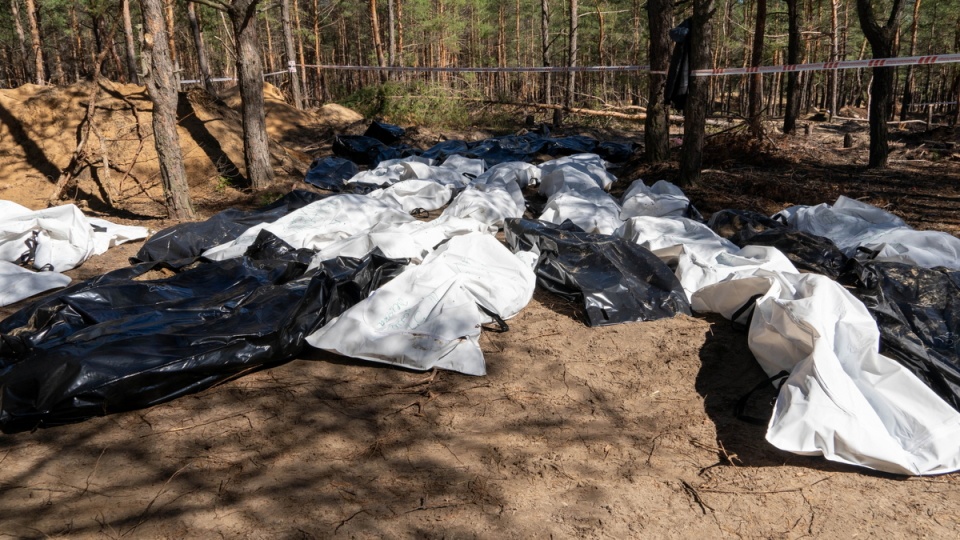 włoki wyciągnięte z masowych grobów w lesie w mieście Izium w obwodzie charkowskim/fot. Mykola Kalyeniak, PAP