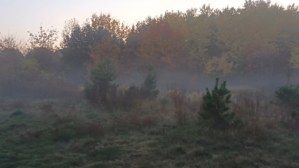 Meteorolodzy ostrzegają przed gęstymi mgłami w Bydgoszczy. (jw)