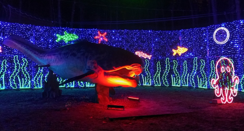 Już po raz drugi bydgoski Myślęcinek rozświetla Lumina Park./fot. Tatiana Adonis