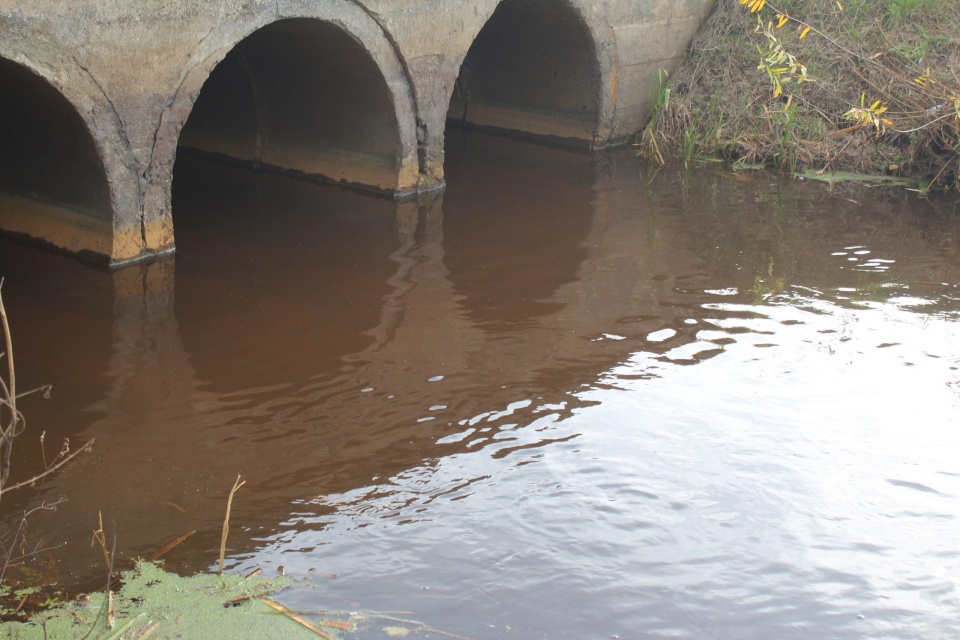 Mieszkańców Włocławka zaniepokoiła w piątek rzeka Zgłowiączka, przypływająca przez miasto. Jej wody stały się po prostu czerwone. /fot. WIOŚ
