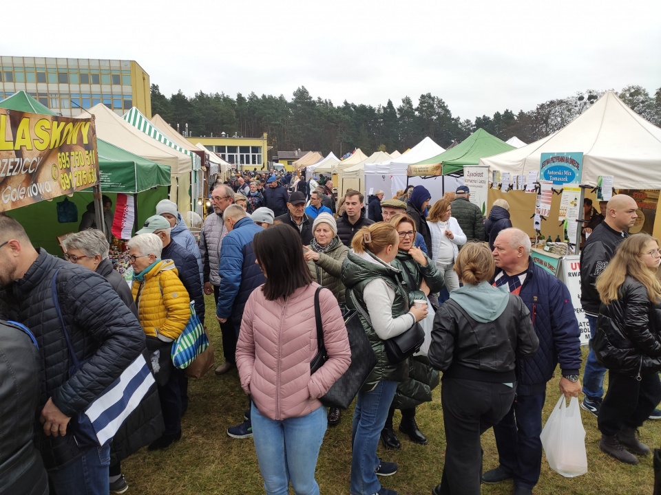 Festiwal w Przysieku zgromadził tłumy chętnych/fot. Czas na gęsinę, Facebook