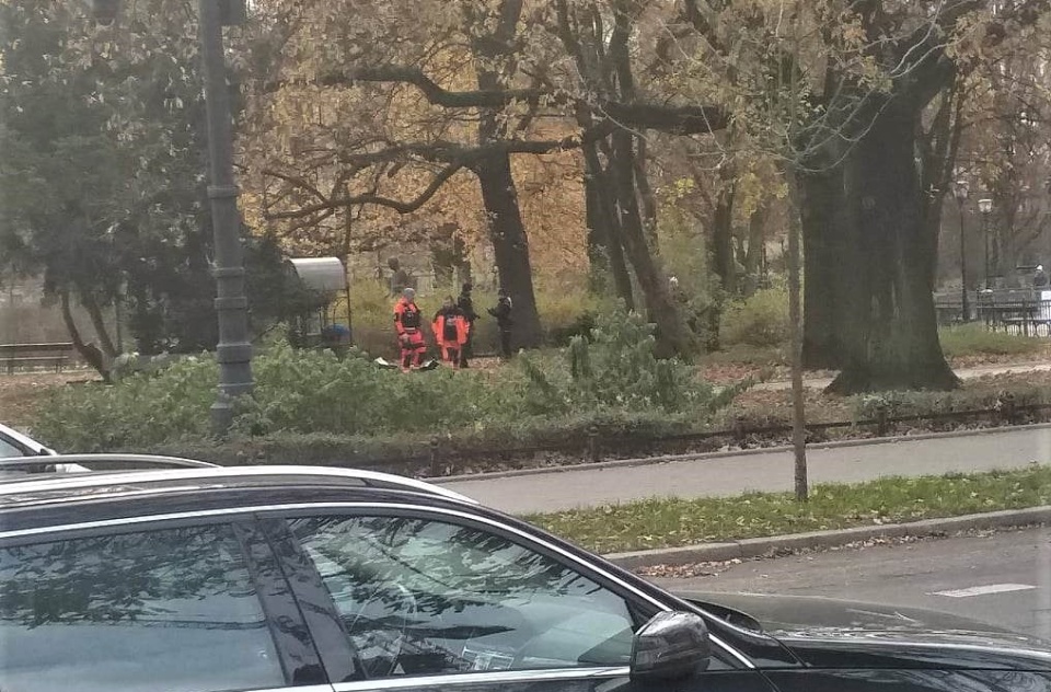 Martwy człowiek leżał przez kilka godzin przy placu zabaw w bydgoskim Parku im. Kochanowskiego. Policjanci przez ten czas nie mogli znaleźć lekarza, który oficjalnie potwierdziłby zgon./fot. nadesłane