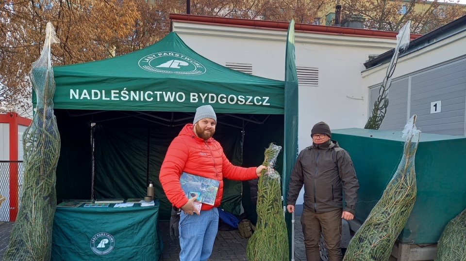 Akcja „Choinka dla życia” w Bydgoszczy/fot. Agata Raczek