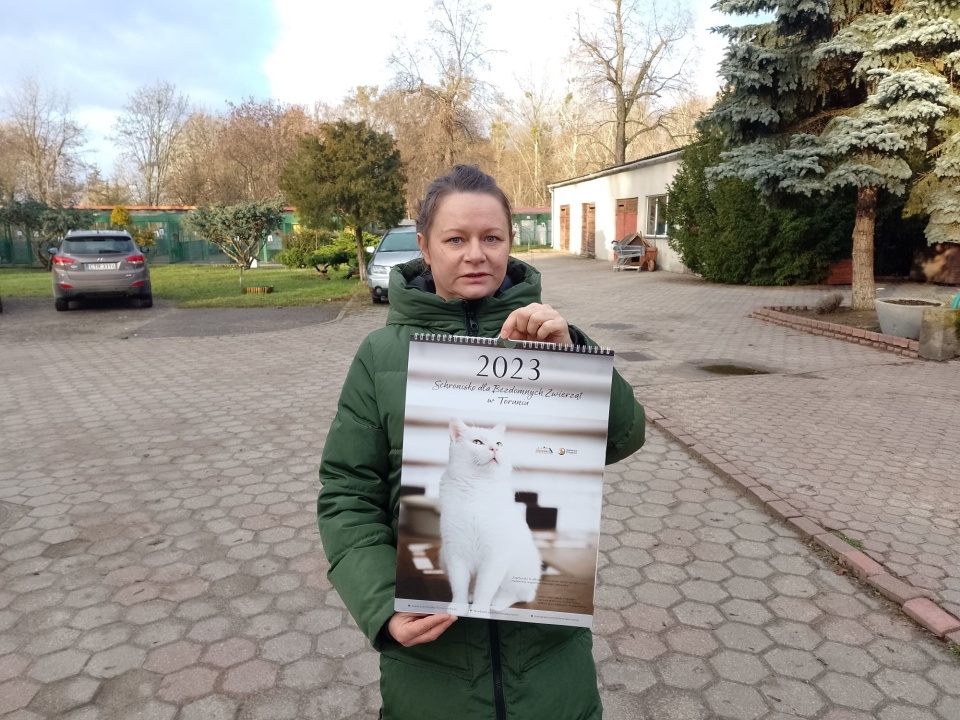 Kalendarz jest dwustronny – i dla psiarzy, i dla kociarzy – mówi dyrektor toruńskiego schroniska Agnieszka Szarecka/fot. Michał Zaręba