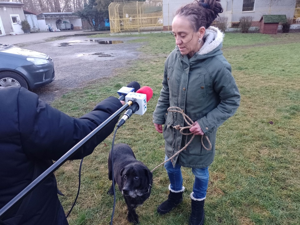 Dochód ze sprzedaży publikacji zostanie przeznaczony na operację suczki Sary/fot. Michał Zaręba